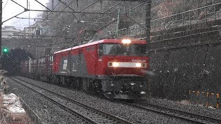 夕方、雪降る中を走る貨物列車　稲城付近　2019/02/09