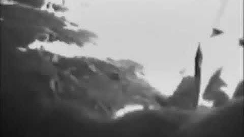 DONAL TRUMP NEW North Korea public execution video