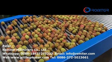 Full Automatic Litchi Fruit Size Sorting Grading Machine for Sale