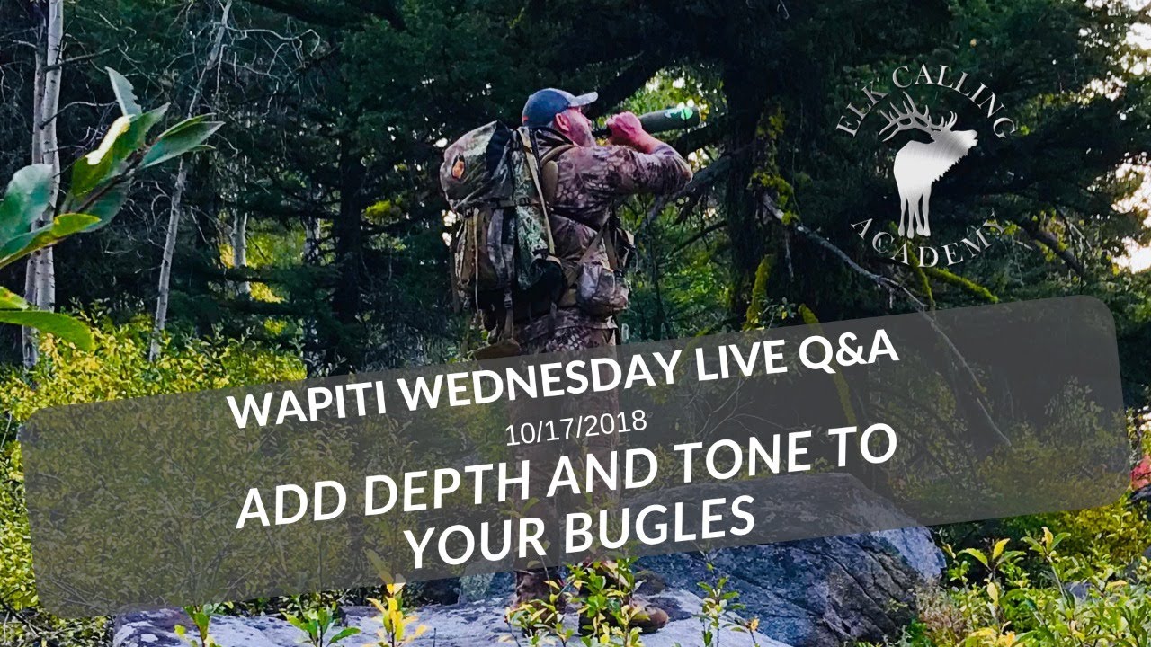 How to Add Depth to Your Elk Bugles | Wapiti Wednesday Q&A - Episode 37