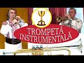 ALBUM NOU // MAESTRII TROMPETELOR 3 de petrecere instrumentala la trompeta