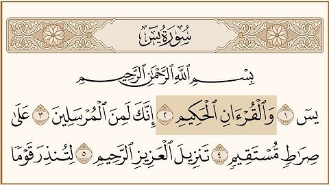 سورة يس - الشيخ أبو النور الشامي