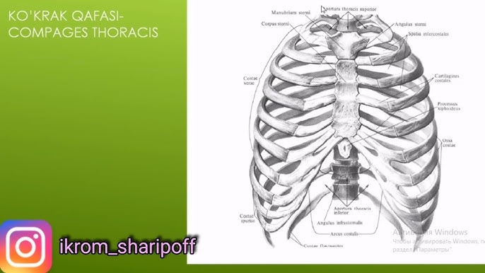 Haqiqiy jinsiy aloqa uchun kimdir bilan uchrashishni xohlaysiz