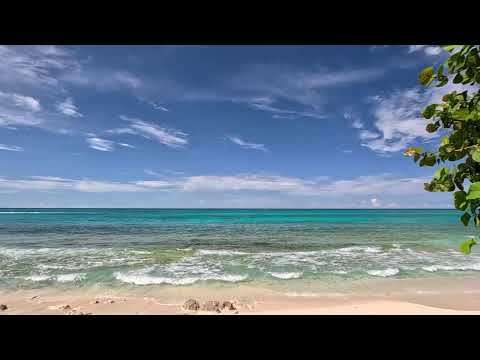 beachcam post: Nassau Bahamas Love Beach Streaming Live