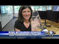Former KEZI 9 News anchor, Renee McCullough, honored