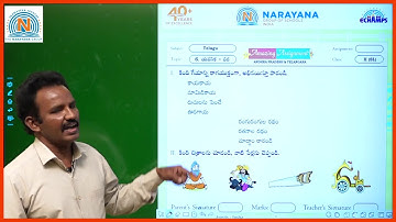 22ND DEC AP CLASS II SL TELUGU AMAZING ASSIGNMENT KEY