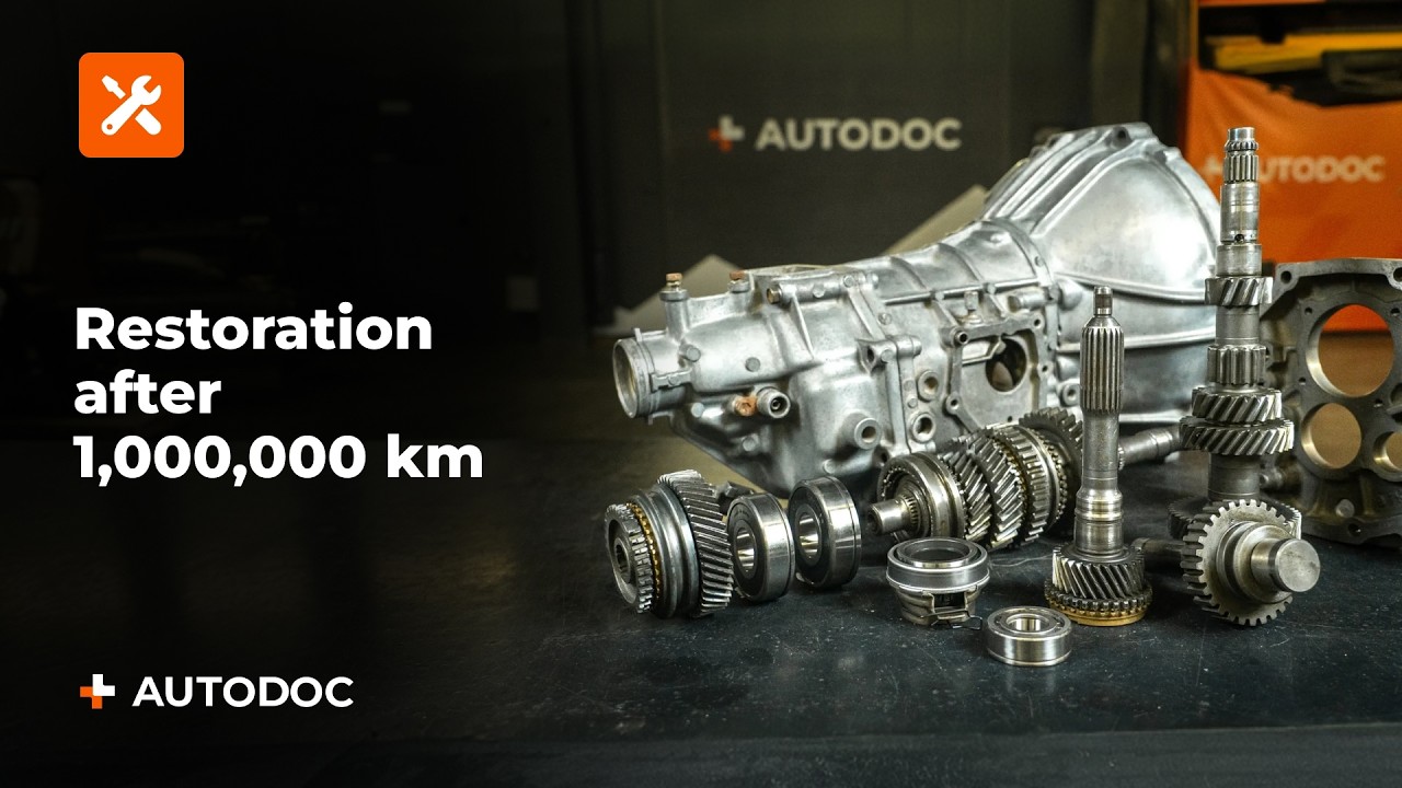 Complete drivetrain rebuild: drive shaft, rear axle and manual gearbox
