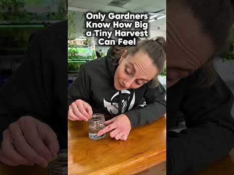 لا يعرف سوى البستانيين مدى عظمة الحصاد الصغير