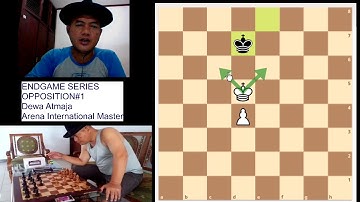 Endgame Series-Opposition#1