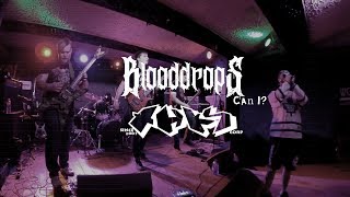 Blooddrops - Can I?