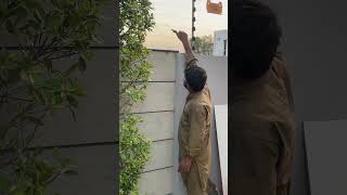 Electric fence installation #viral #electricalindia #indiansongs #security