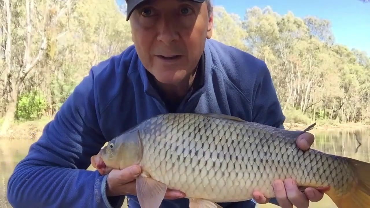 Fishing the Goulburn River YouTube