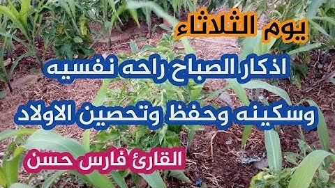 اذكار الصباح بصوت جميل هادئ مريح للقلب بنية طرد الهم والحزن ❤️القارئ فارس حسن Adhkar Al-Sabah