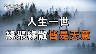 人生一世，緣起緣滅，皆有定數，緣聚緣散，一切皆是命中註定！10人看完9人開悟【深夜讀書】