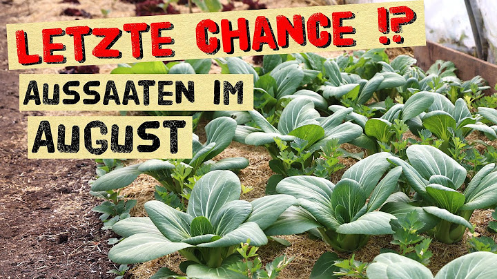 Jetzt noch schnell aussäen! Aussaaten im August für die Selbstversorgung im Herbst und Winter.