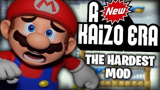 I Revisited The Hardest Mario Bros Wii Mod...