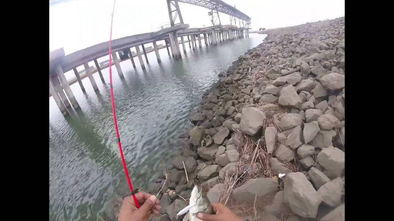 Bass fishing at Sacramento River ship channel