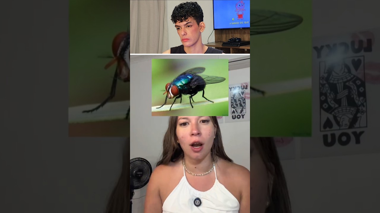 Bichos que eu tenho MUITO NOJO!!!