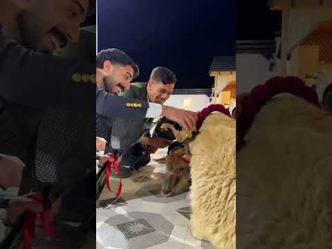 عيد اضحي مبارك