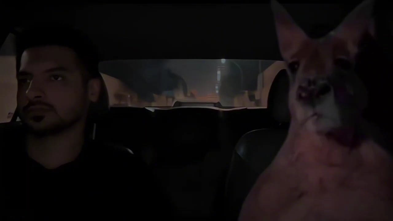 Kangaroo and Man both listening song in Car Meme Template 