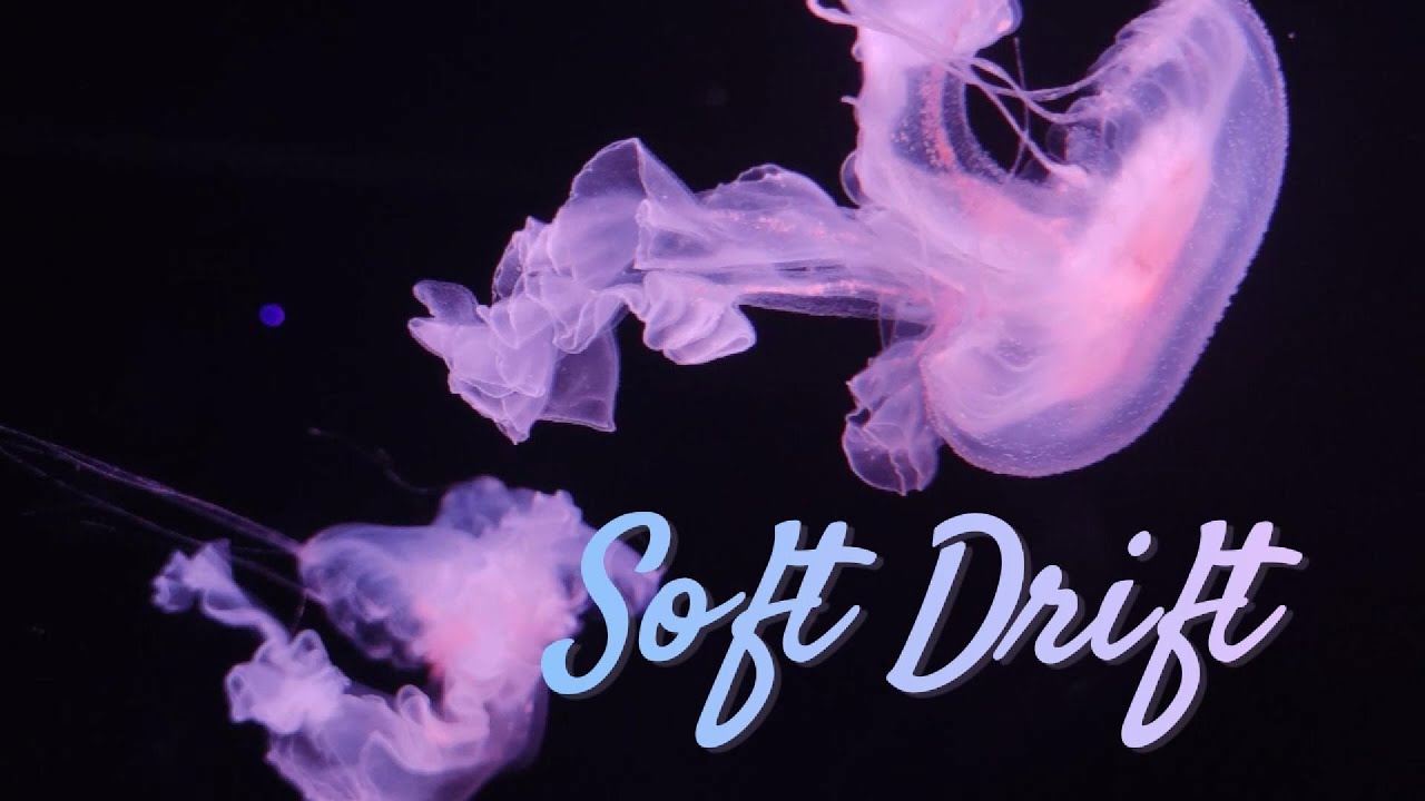 The Ethereal World Below the Surface l Soft Drift