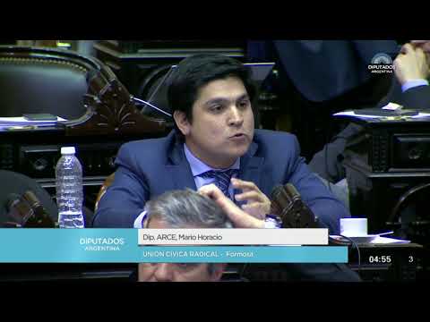 Diputado Arce Mario Horacio - Sesión 13-06-2018 - PL