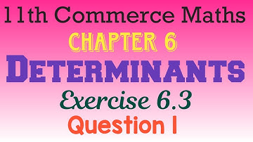 Determinants Exercise 6.3 | Question 1 | 11th commerce maths 1 | Maharashtra board new syllabus