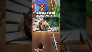3 cosas que no sabias de los perros 🐶😨