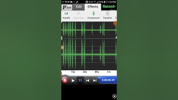 EVP REVIEW- Wavepad..."I