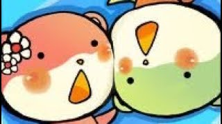 Duel Otters #3 #games screenshot 5