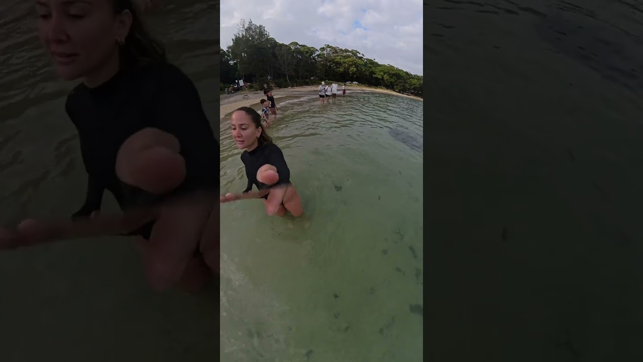 Massive Stingray Swims Up to Woman for a Gentle Pet