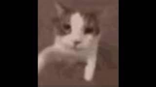 lungskull - me / me 2