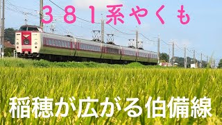 🌾夏の伯備線! 115系,381系,187系【4K】