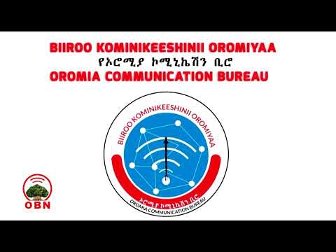 Naannoo Oromiyaatti Pirojektoonni Eebbaaf Qophaa An