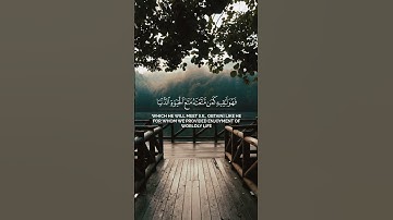 #سورة_القصص #القارئ #احمد_كاسب #قرآن #القرآن_الكريم #تلاوه #لايك #تلاوات #quran