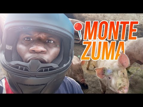 Me Enamoré de MONTEZUMA 😍🌿 | Acompáñame a Descubrirlo
