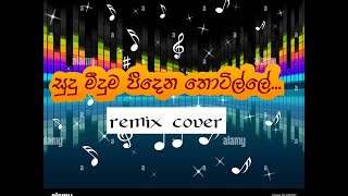 සුදු මීදුම පීදෙන තොටිල්ලේ... Sudu meeduma peedena thotille... Remix Cover