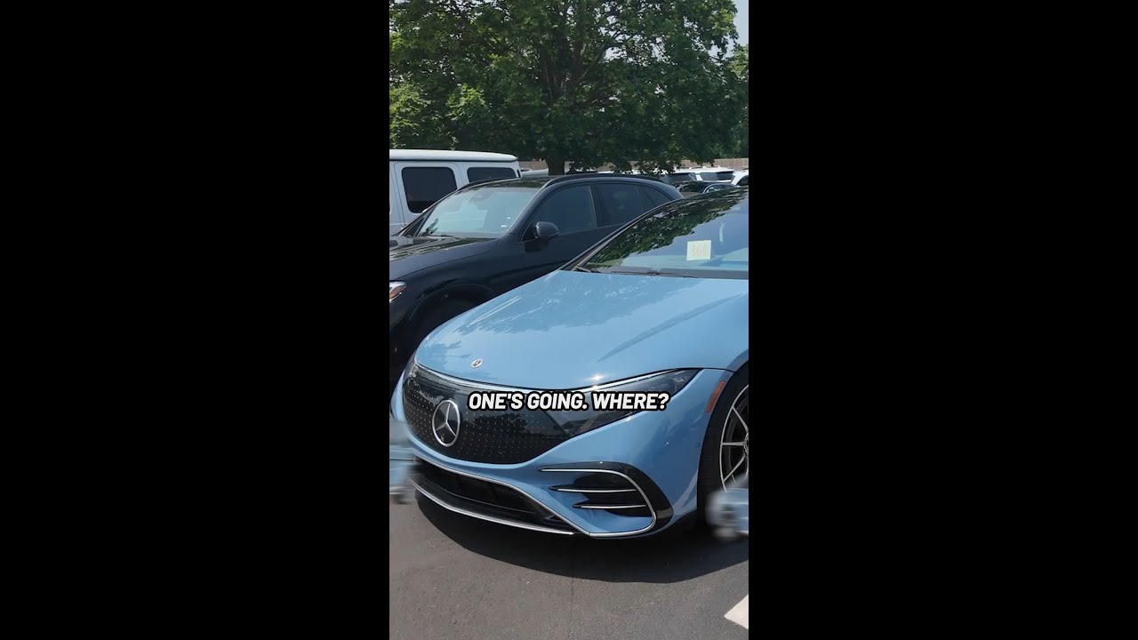 Как вам такой дуэт?