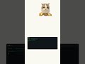 Ton onglet se transforme en Gmail pendant que tu travailles. Tabnabbing #cybersecurite #Shorts