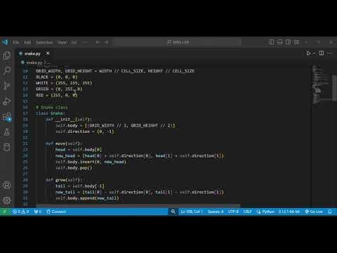 Snake Game Application using Data Structures and Algorithms - YouTube