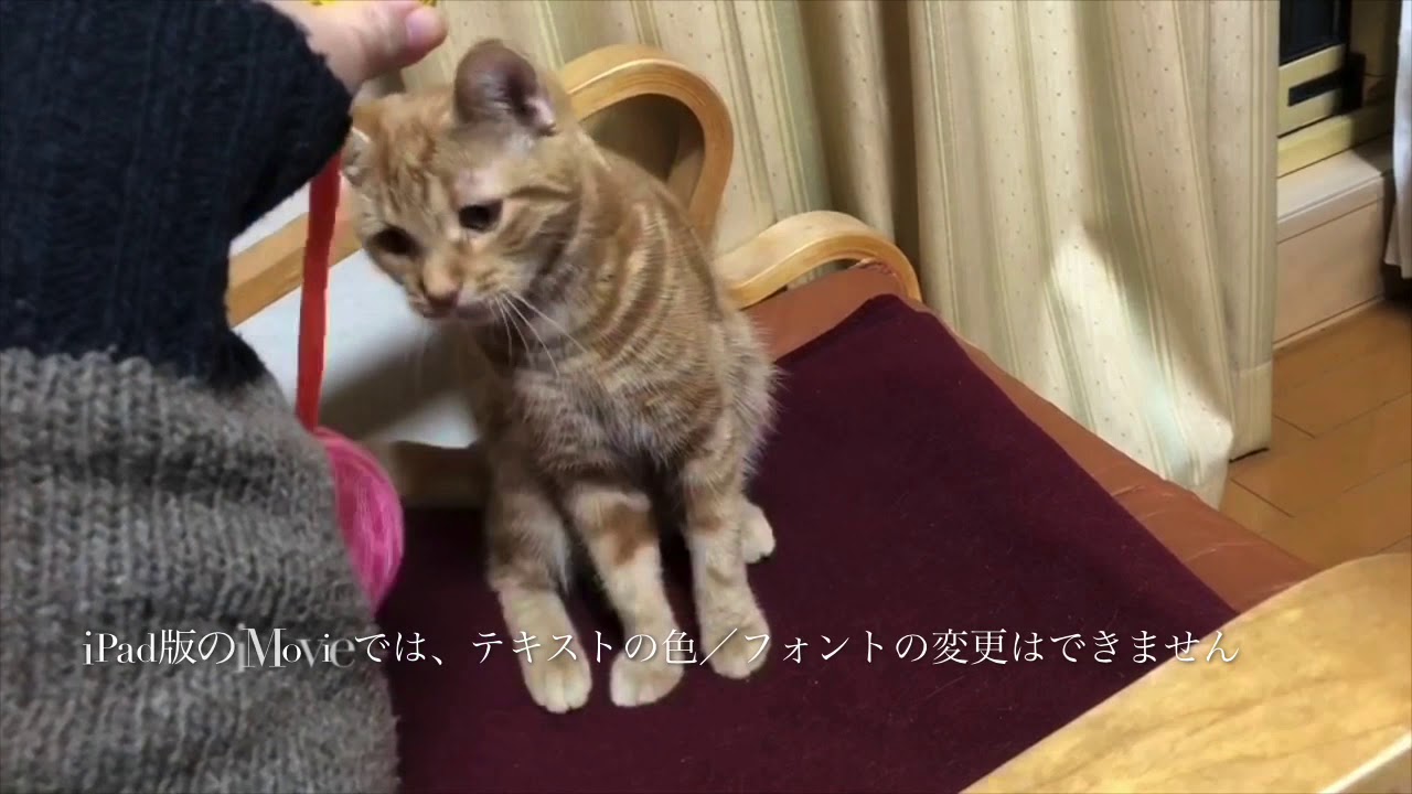 Imovieを使って Ipadで動画にテキスト テロップ を挿入する方法 Imovieを使って Ipadで動画にテキスト テロップ を挿入する方法