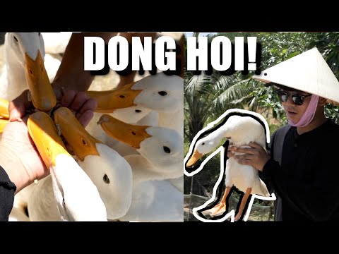 No Tourists! More People Should Visit This Vietnam City: DONG HOI, Phong Nha Travel