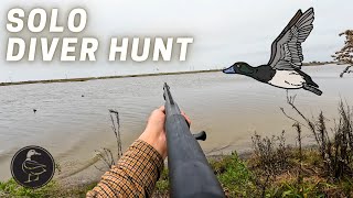 Public Land Solo Diver Duck Hunt!