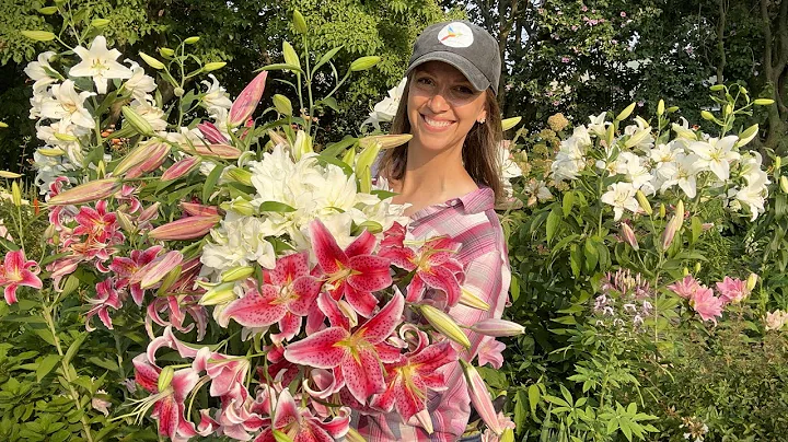 Lilies as Cut Flowers // How to Harvest, Condition, Process, & Store Lilies + Best Lily Varieties!!! - DayDayNews