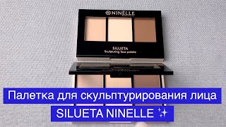 Палетка Для Скульптурирования Лица Silueta От Ninelle