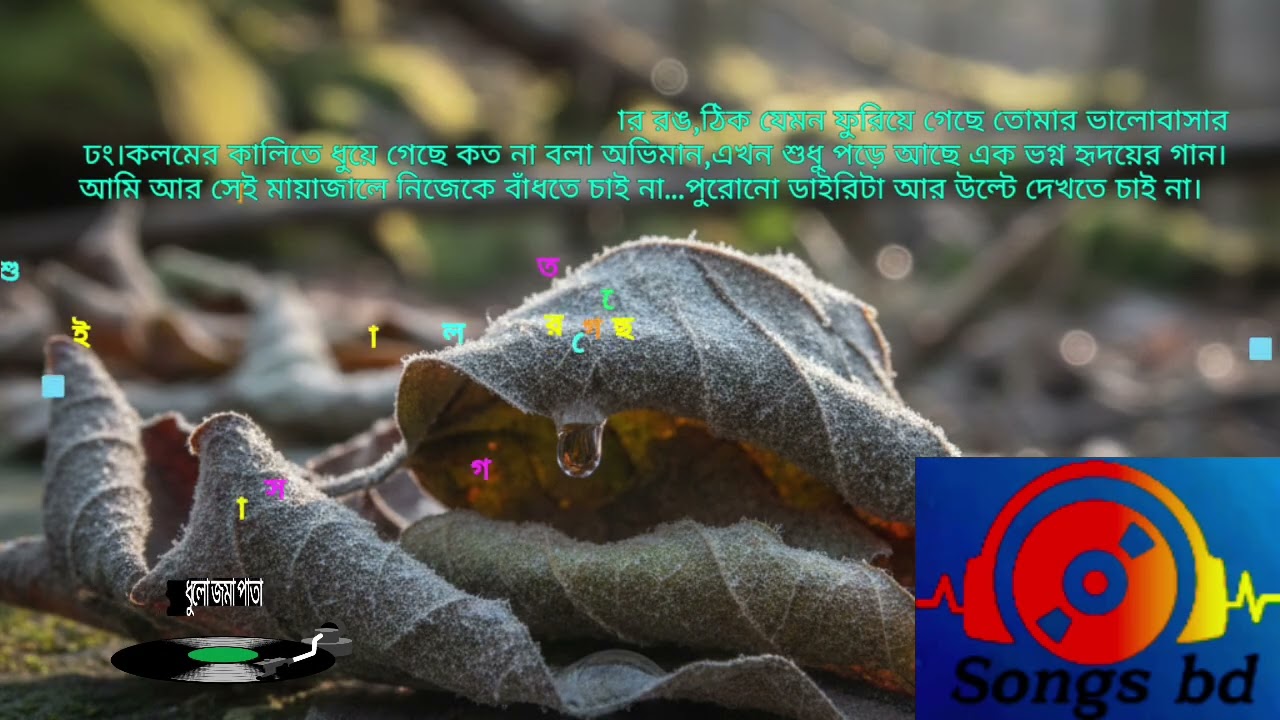 Dhulo Joma Pata( ধুলো জমা পাতা) #bangla #song #new #Banglasongs #Newsongs2026 #viral #qatar #india 