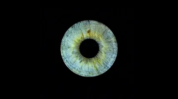 I M Lost In Your Iris Iris Eyes Eyecolor Subscribe Music Audio 100kview Fypシ Viral 