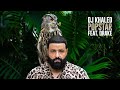 Dj Khaled Popstar Feat Drake Audio 