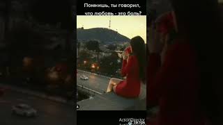 Жизнь в цитате#shorts#Короткие видео