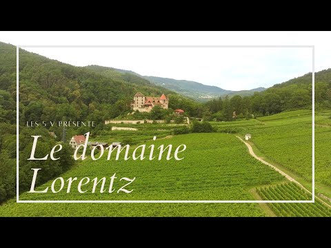 LA MAISON LORENTZ : Découverte des Grands Crus d'Alsace du domaine - Les 5 V